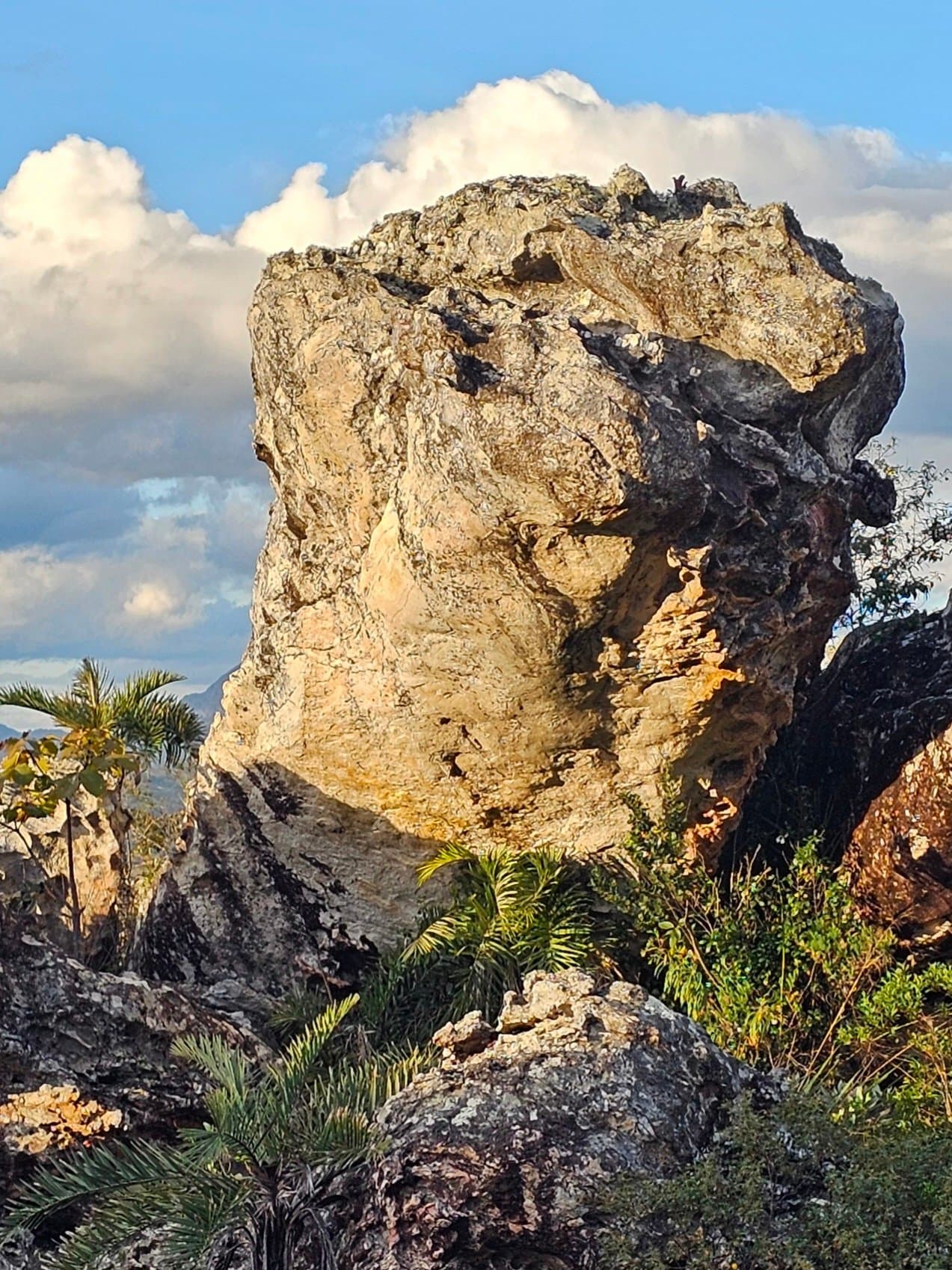 Natureza selvagem
