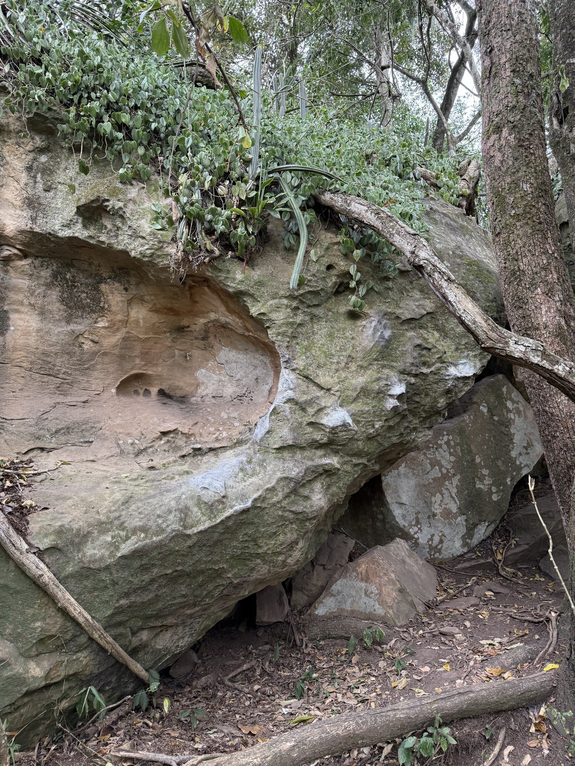 Pedra Sabão