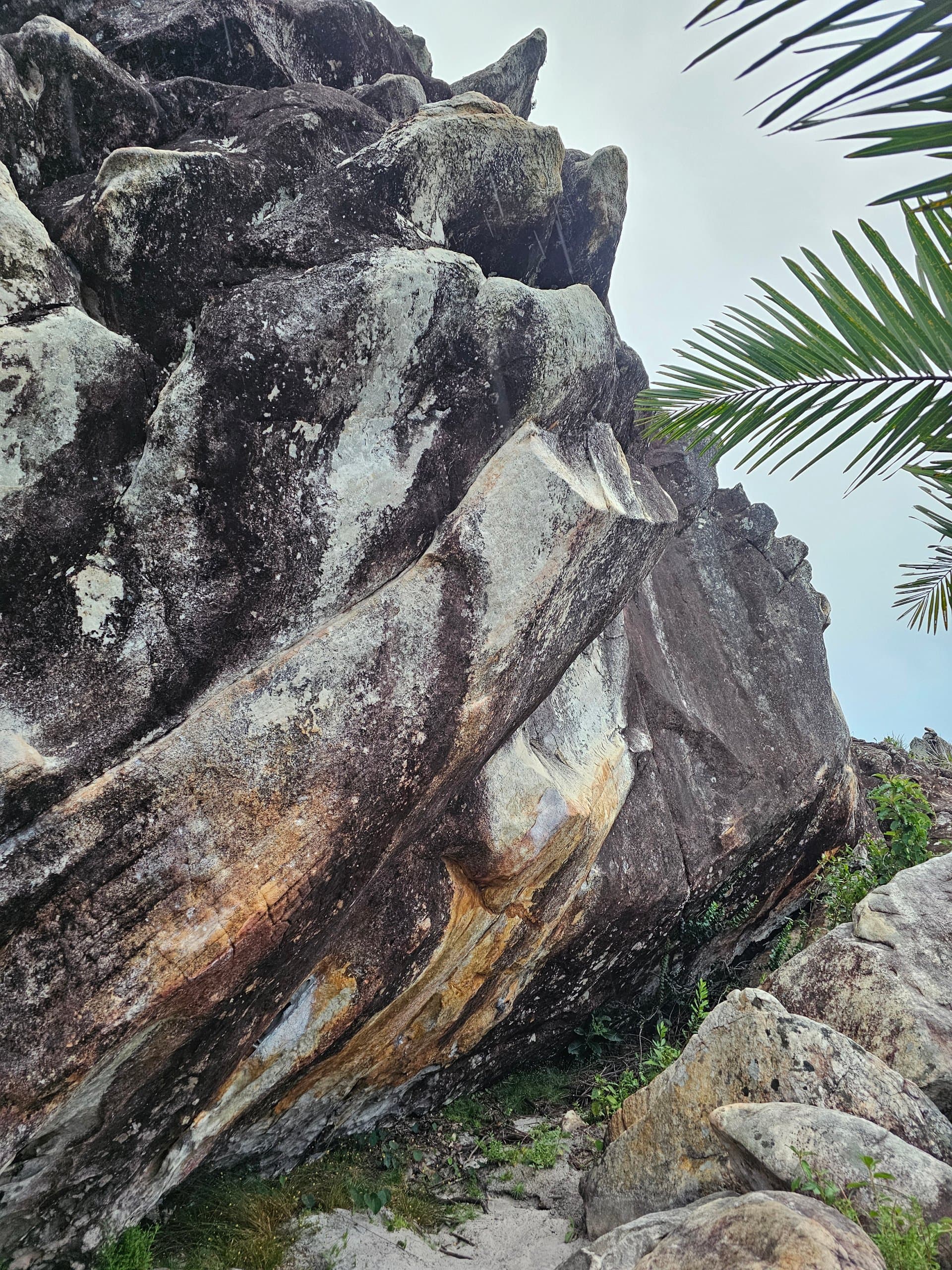 Taruma